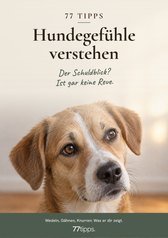 Cover: 77 Tipps – Hundegefühle verstehen