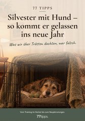 Cover: 77 Tipps – Silvester mit Hund – so kommt er gelassen ins neue Jahr
