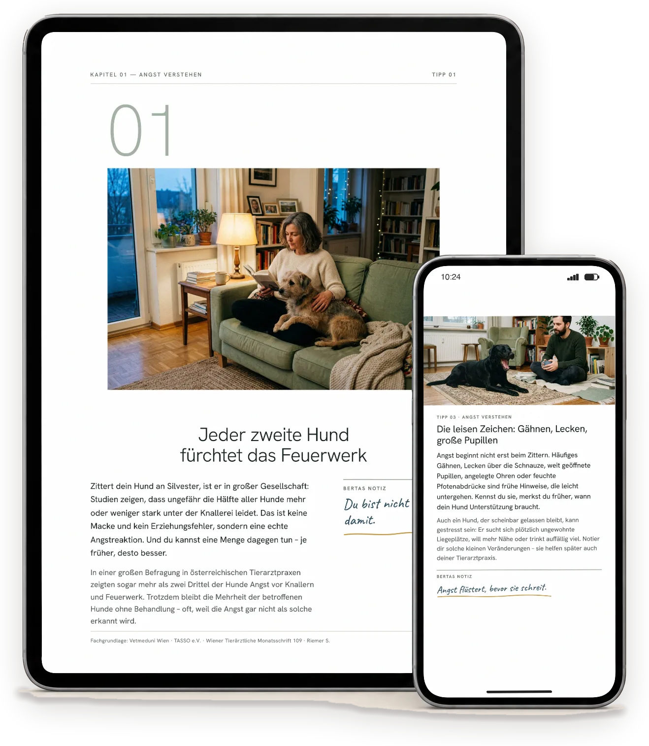 Seiten aus „Silvester mit Hund – so kommt er gelassen ins neue Jahr“ auf einem Tablet (A4-Ausgabe) und einem Handy (Handy-Ausgabe)