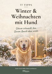 Cover: 77 Tipps – Winter & Weihnachten mit Hund