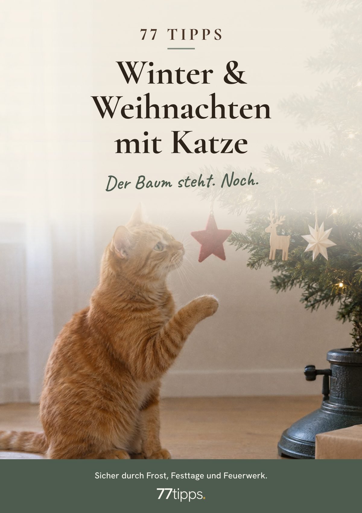 Cover: 77 Tipps – Winter & Weihnachten mit Katze